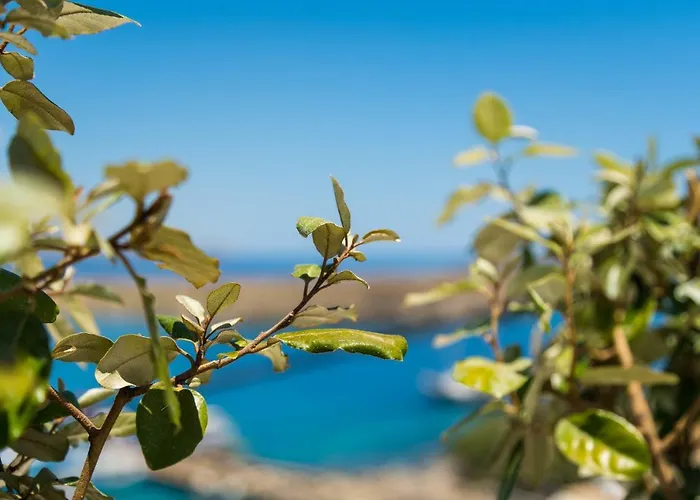 فيلة Lindian Ethos لينثوس