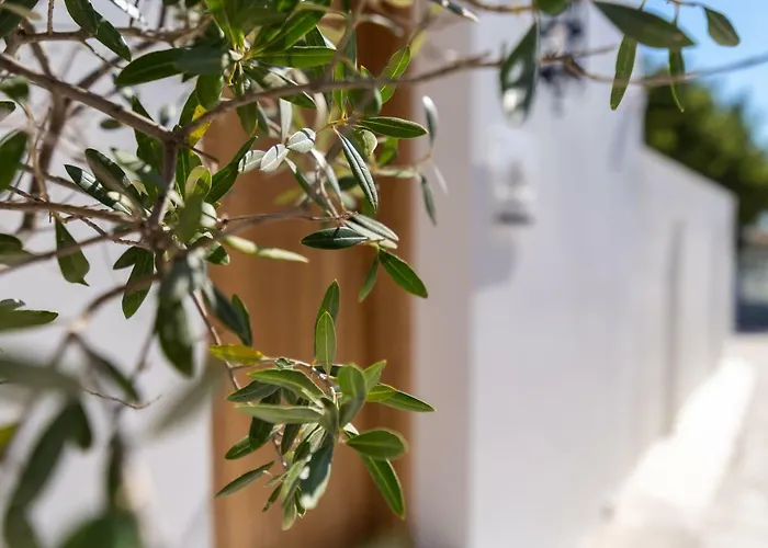 Lindian Ethos فيلة *