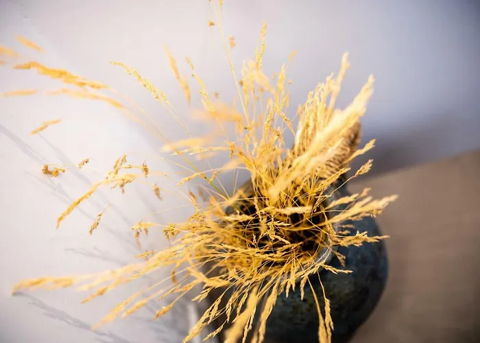 Villa Lindian Ethos Lindos (Rhodes)