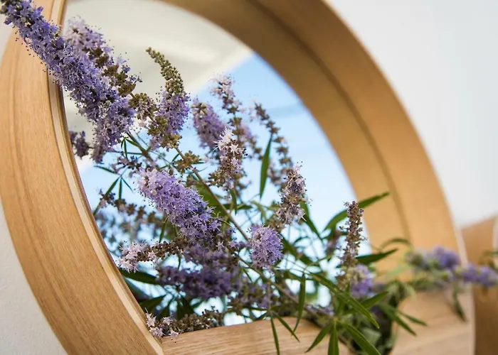 别墅 Lindian Ethos