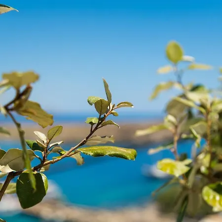 فيلة Lindian Ethos لينثوس