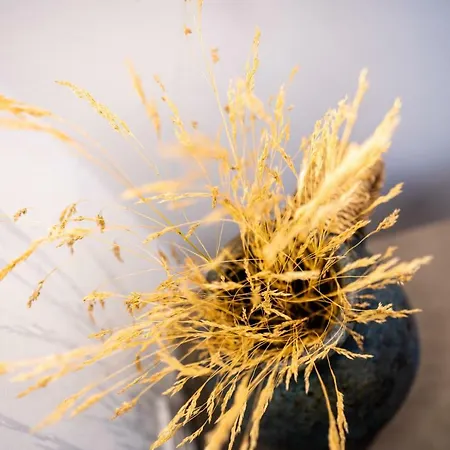 Вилла Lindian Ethos Линдос